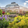 Anna Scripps Whitcomb Conservatory